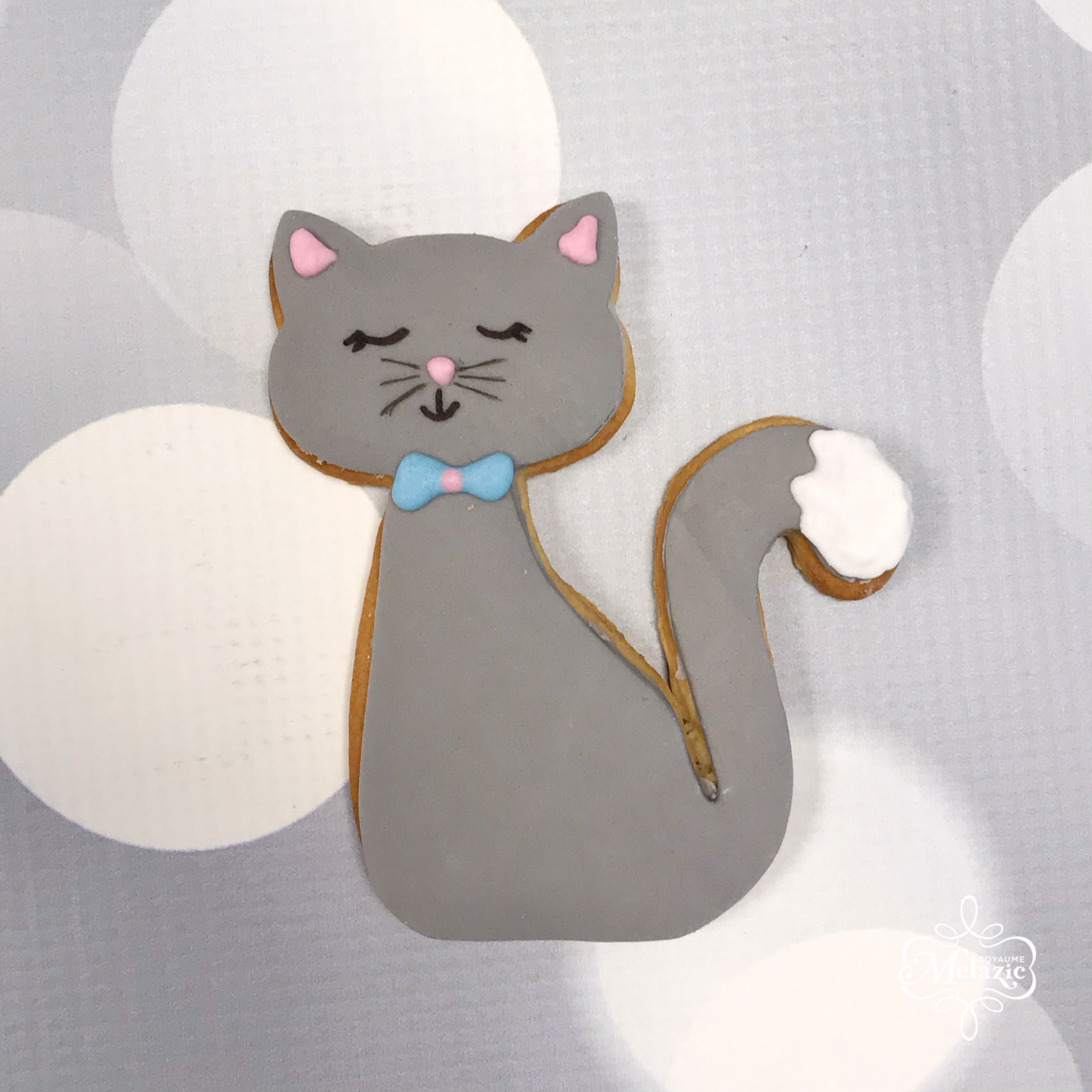 Chat assis