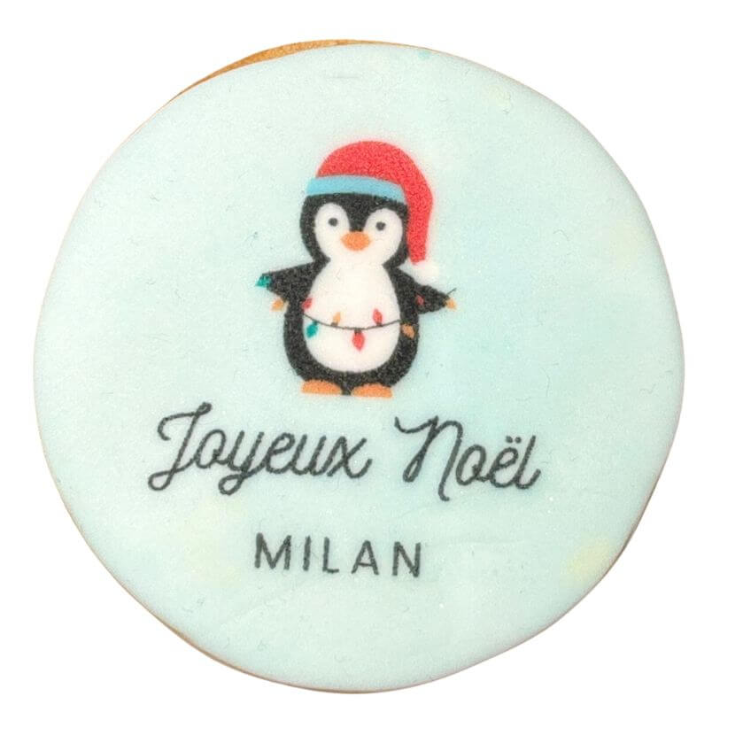 modèle perso pingouin